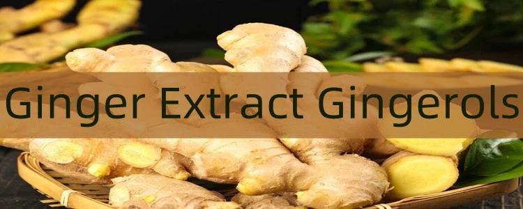 Ginger Extract Gingerols price.png